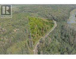 1630 Midlothian Road, Ryerson, ON P0A1C0 Photo 14