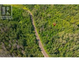 1630 Midlothian Road, Ryerson, ON P0A1C0 Photo 15