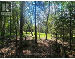 1630 Midlothian Road, Ryerson, ON P0A1C0 Photo 6
