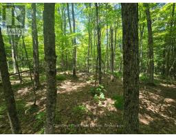 1630 Midlothian Road, Ryerson, ON P0A1C0 Photo 7