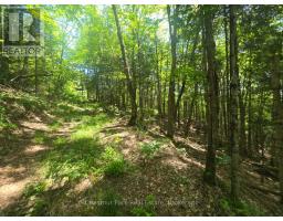 1630 Midlothian Road, Ryerson, ON P0A1C0 Photo 8