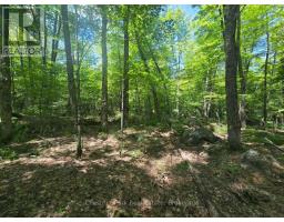 1630 Midlothian Road, Ryerson, ON P0A1C0 Photo 9