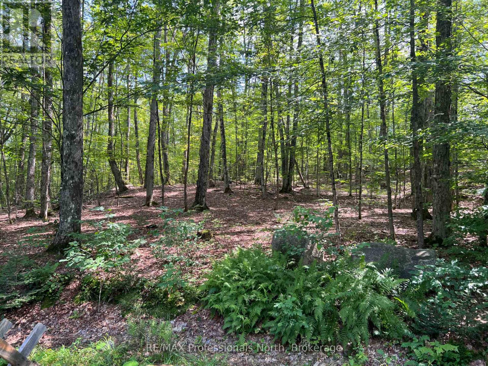 LOT 9 CONCESSION 3 - Image 5