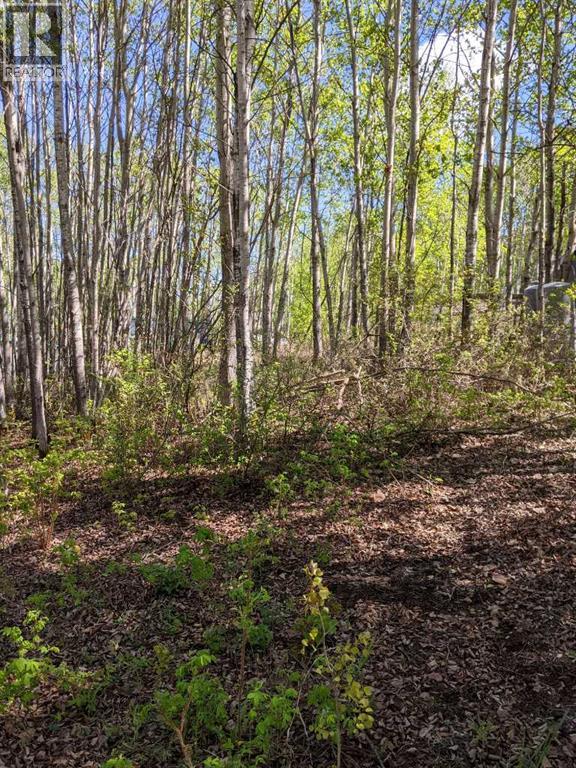 15538 Old Trail - Photo 7