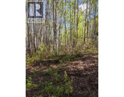 234, 15538 Old Trail, Plamondon, AB T0A2T0 Photo 7