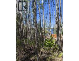 234, 15538 Old Trail, Plamondon, AB T0A2T0 Photo 8