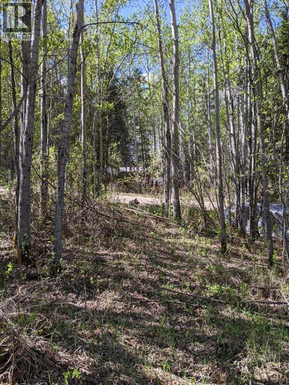 15538 Old Trail - Photo 9