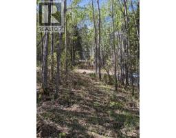 234, 15538 Old Trail, Plamondon, AB T0A2T0 Photo 9
