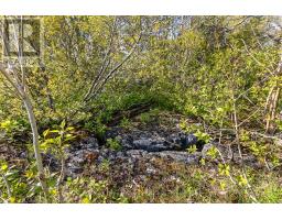 Part 1 Cape Chin North Road, Northern Bruce Peninsula, ON N0H1W0 Photo 23