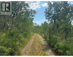 2945 Botta Road, Kamloops, BC V0E3E0 Photo 7