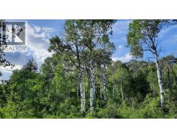 2945 Botta Road, Kamloops, BC V0E3E0 Photo 38