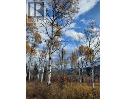 2945 Botta Road, Kamloops, BC V0E3E0 Photo 42