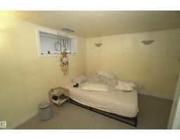 10026 87 Av Nw, Edmonton, AB T6E2N9 Photo 37