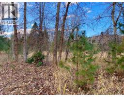 2338 Kettle River Drive, Grand Forks, BC V0H1H0 Photo 10