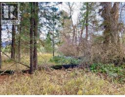 2338 Kettle River Drive, Grand Forks, BC V0H1H0 Photo 18