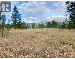 2338 Kettle River Drive, Grand Forks, BC V0H1H0 Photo 19