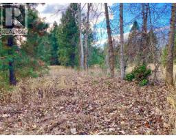 2338 Kettle River Drive, Grand Forks, BC V0H1H0 Photo 9