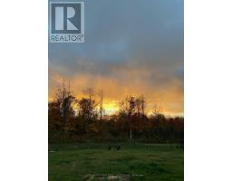 274 Roxanne Street, Clarence Rockland, ON K0A1N0 Photo 27