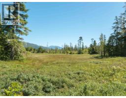 Dl 1681 Porcher Island, Prince Rupert, BC V0V1V0 Photo 25