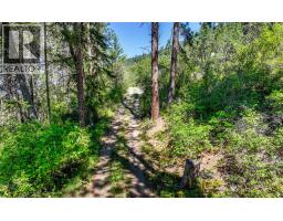 8281 Hwy 3a, Sirdar, BC V0B2C0 Photo 9