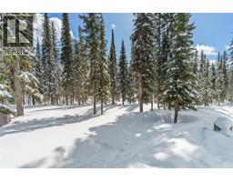 Black Forest Way Lot# 5, Big White, BC V1P1P3 Photo 12
