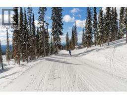 Black Forest Way Lot# 5, Big White, BC V1P1P3 Photo 15