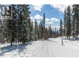 Black Forest Way Lot# 5, Big White, BC V1P1P3 Photo 18