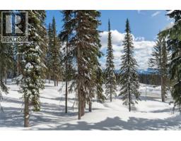 Black Forest Way Lot# 5, Big White, BC V1P1P3 Photo 17