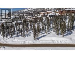 Black Forest Way Lot# 5, Big White, BC V1P1P3 Photo 11