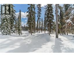 Black Forest Way Lot# 5, Big White, BC V1P1P3 Photo 14