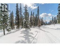 Black Forest Way Lot# 5, Big White, BC V1P1P3 Photo 13