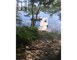 175 Old Man's Lake Lane, Magnetawan, ON P0A1P0 Photo 49