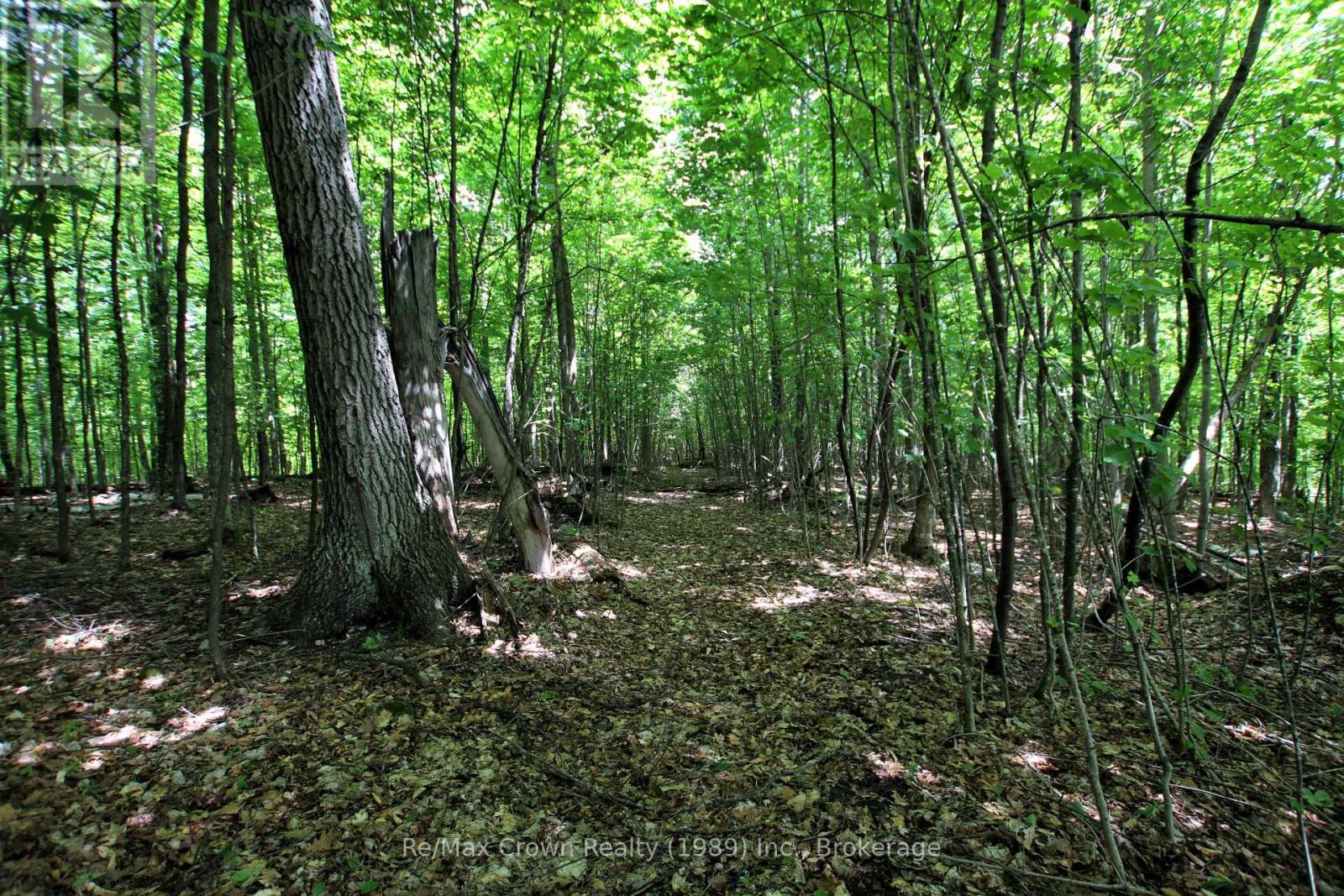 1052 LIMBERLOST POINT ROAD - Image 25