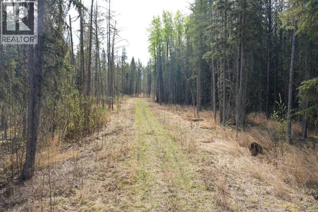 694041 Hwy 63 - 16