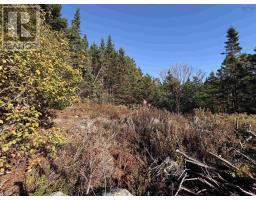 Other - 429 Highway 7, Ecum Secum, NS B0J2K0 Photo 7