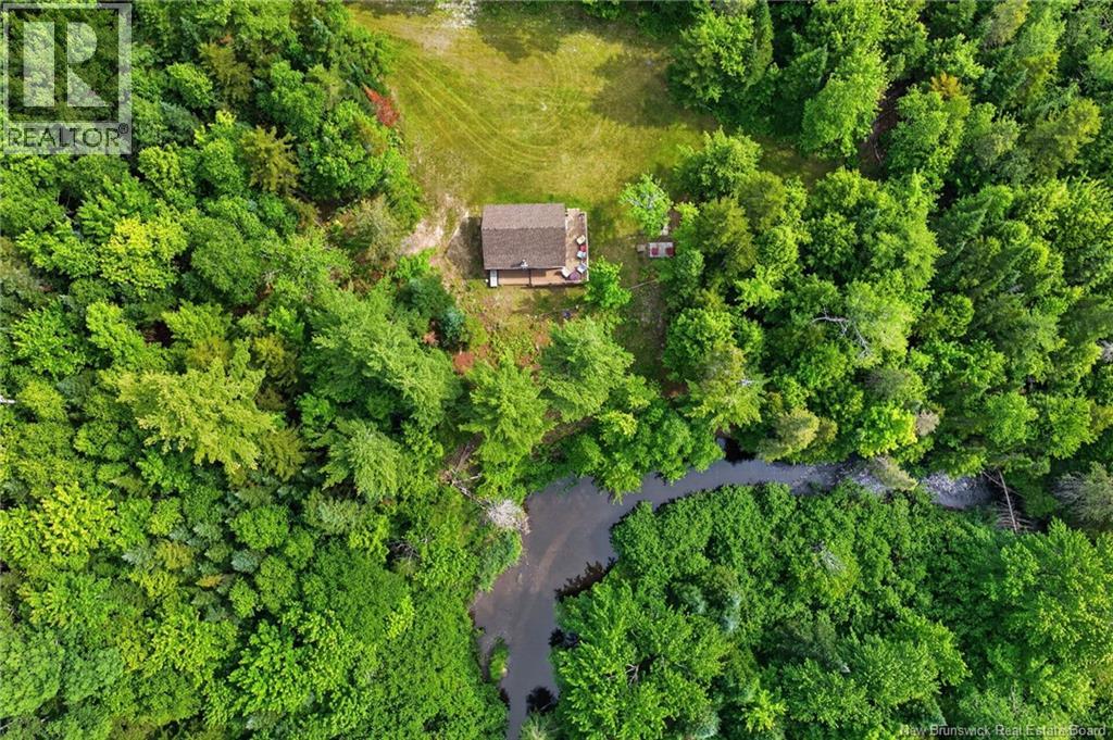 1391 Tweedie brook