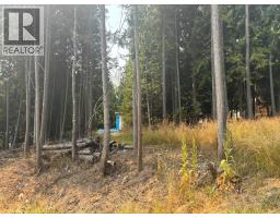 Lot 170 Estate Close, Anglemont, BC V0E1M8 Photo 6