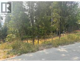 Lot 170 Estate Close, Anglemont, BC V0E1M8 Photo 9