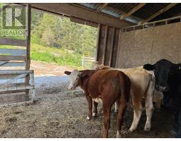 1272 Lakeshore Road, Temiskaming Shores, ON P0J1K0 Photo 21