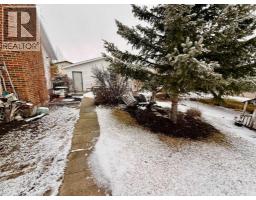 5111 49 Street, Irma, AB T0B2H0 Photo 19