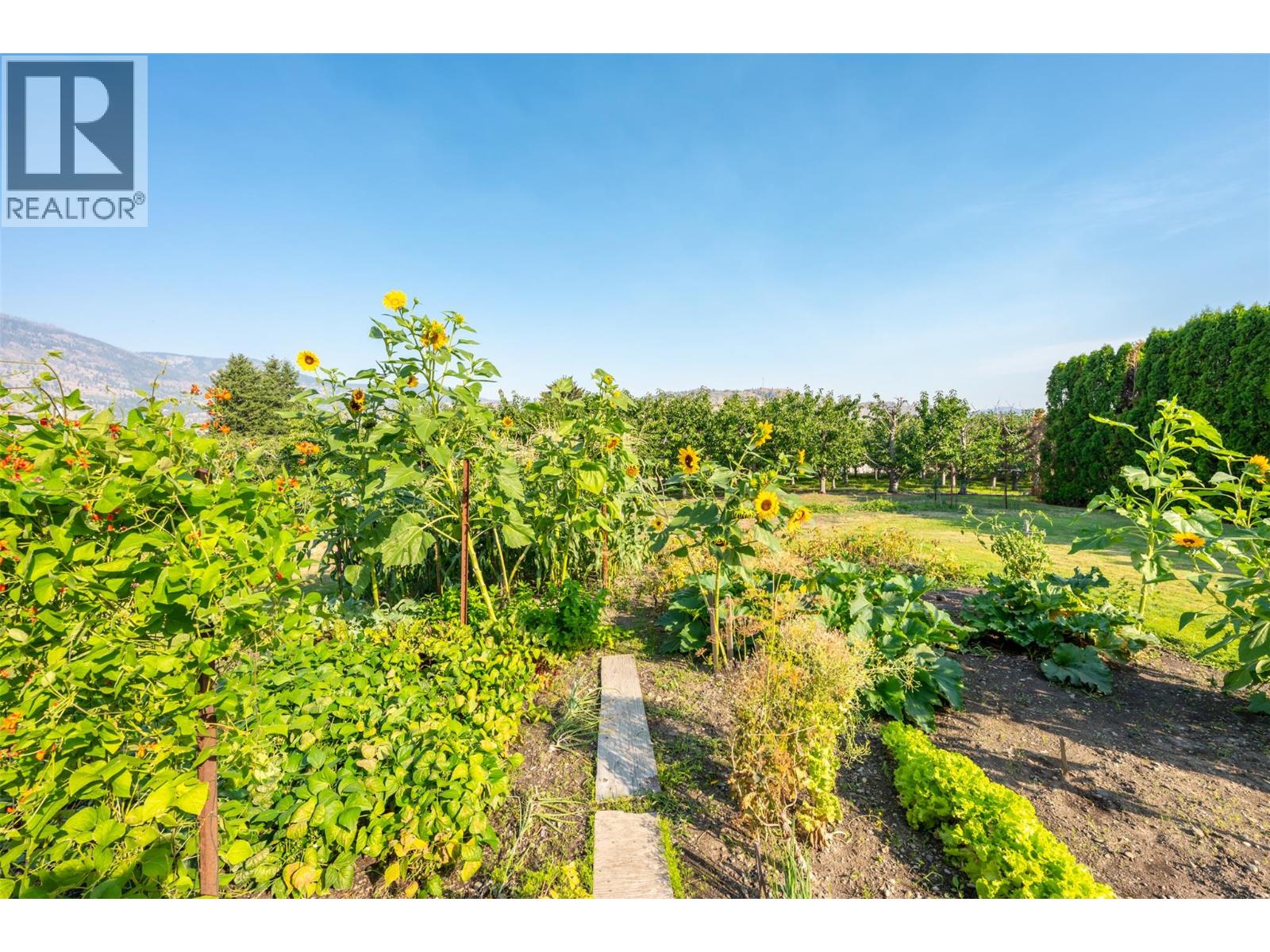  5608 Yarrow Street, Oliver