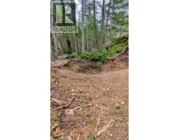 Sl C Elderberry Lane, Lasqueti Island, BC V0R2J0 Photo 11