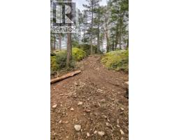 Sl C Elderberry Lane, Lasqueti Island, BC V0R2J0 Photo 12