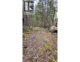 Sl C Elderberry Lane, Lasqueti Island, BC V0R2J0 Photo 13