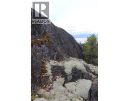 Sl C Elderberry Lane, Lasqueti Island, BC V0R2J0 Photo 19