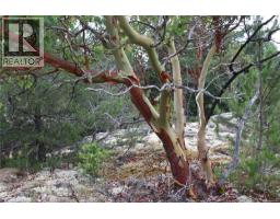 Sl C Elderberry Lane, Lasqueti Island, BC V0R2J0 Photo 20