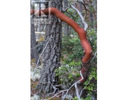 Sl C Elderberry Lane, Lasqueti Island, BC V0R2J0 Photo 21