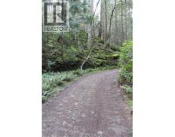 Sl C Elderberry Lane, Lasqueti Island, BC V0R2J0 Photo 7