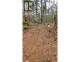 Sl C Elderberry Lane, Lasqueti Island, BC V0R2J0 Photo 8