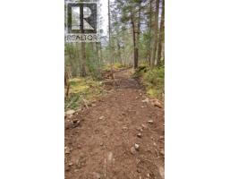 Sl C Elderberry Lane, Lasqueti Island, BC V0R2J0 Photo 9